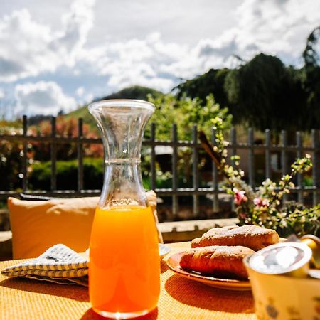 Selvicolle Country House Crispiero エクステリア 写真